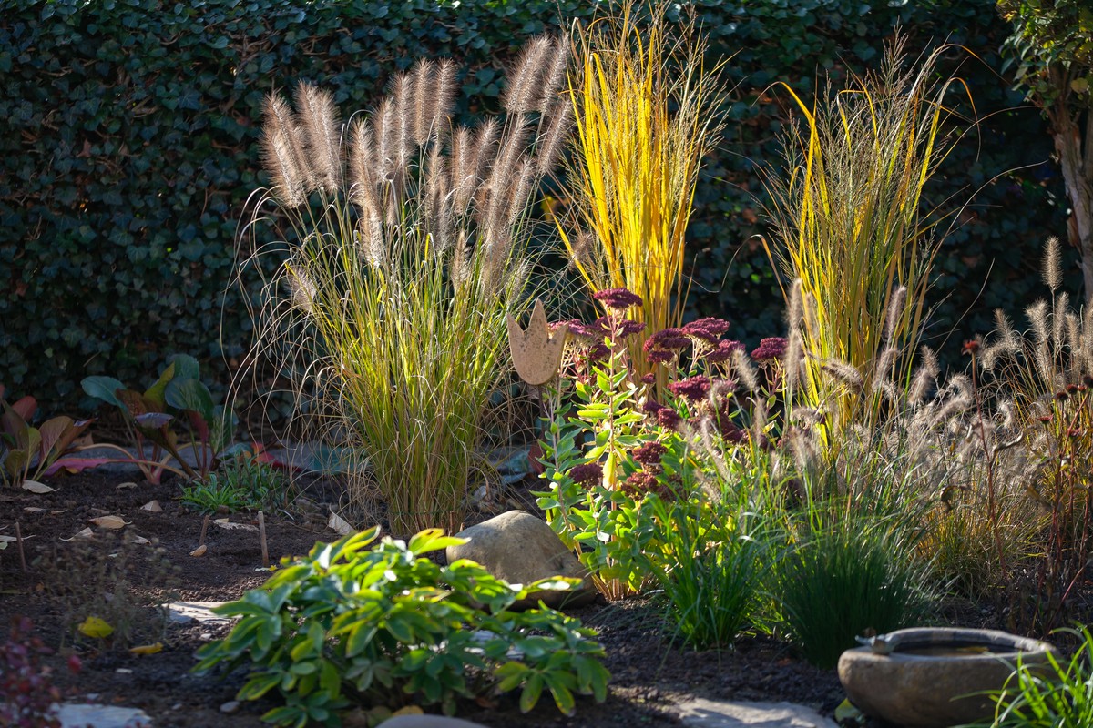 sklep ogrodniczy Legionowo